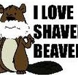 I_Love_Shaved_Beaver.jpg