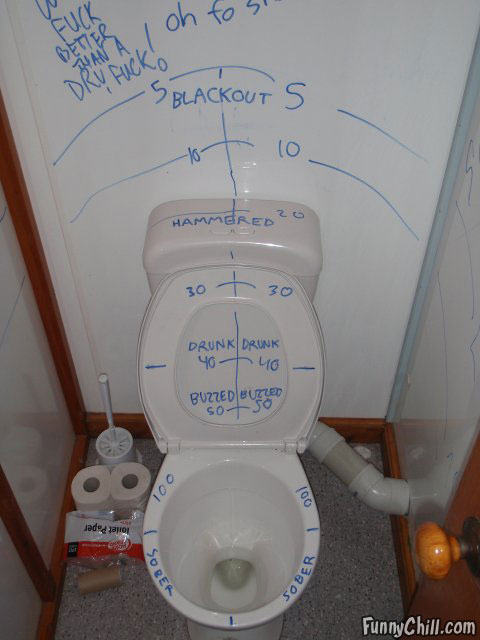 toilet_drunkometer.jpg