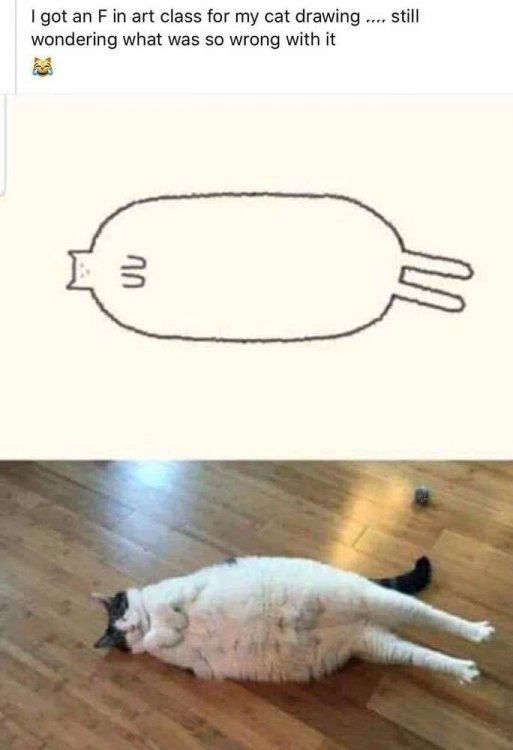 Cat Art.jpg