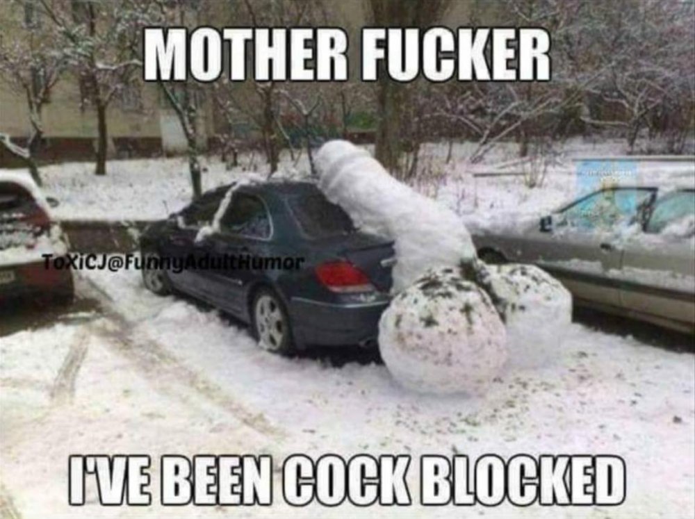 Cock Blocked.jpg