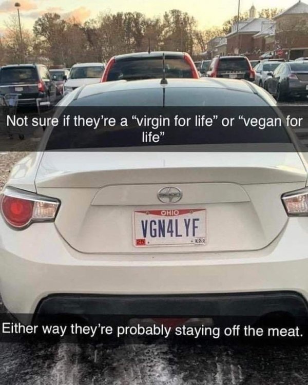 Vegan 4 Life.jpg