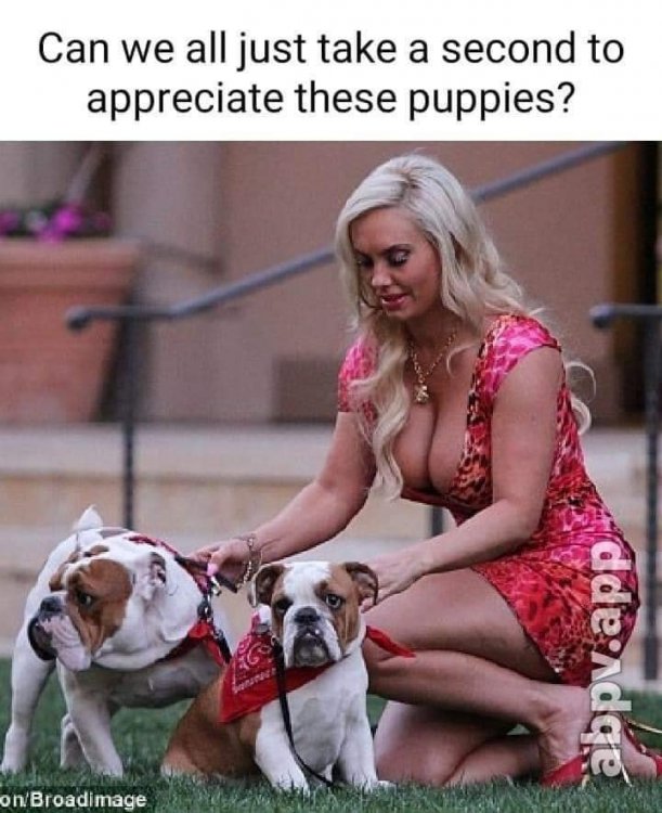 Puppy appreciation.jpg