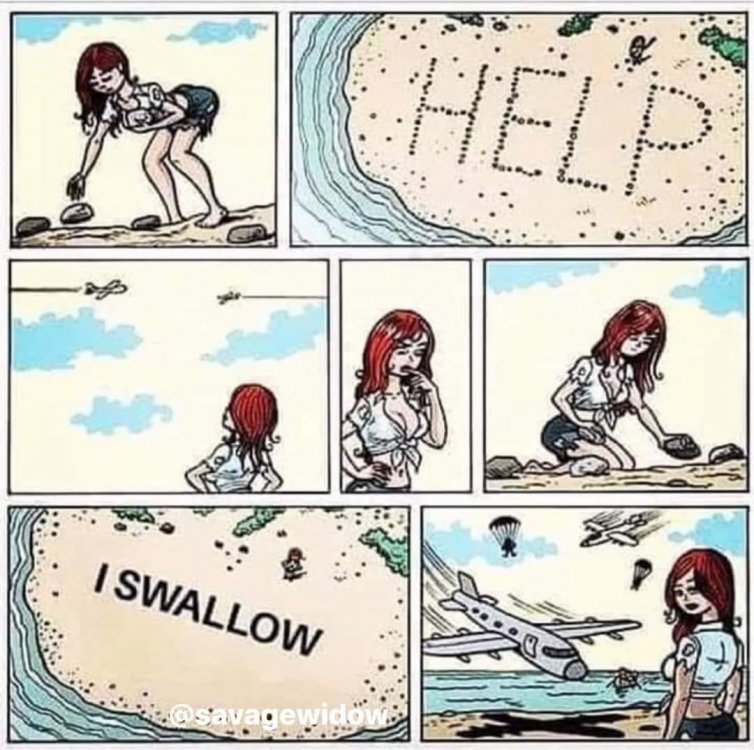 Help swallow.jpg