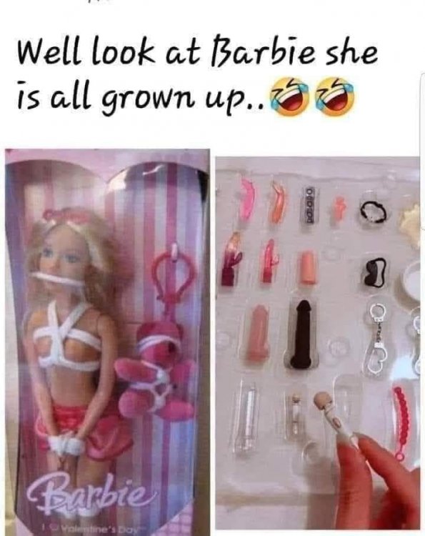 Barbie grown up.jpg