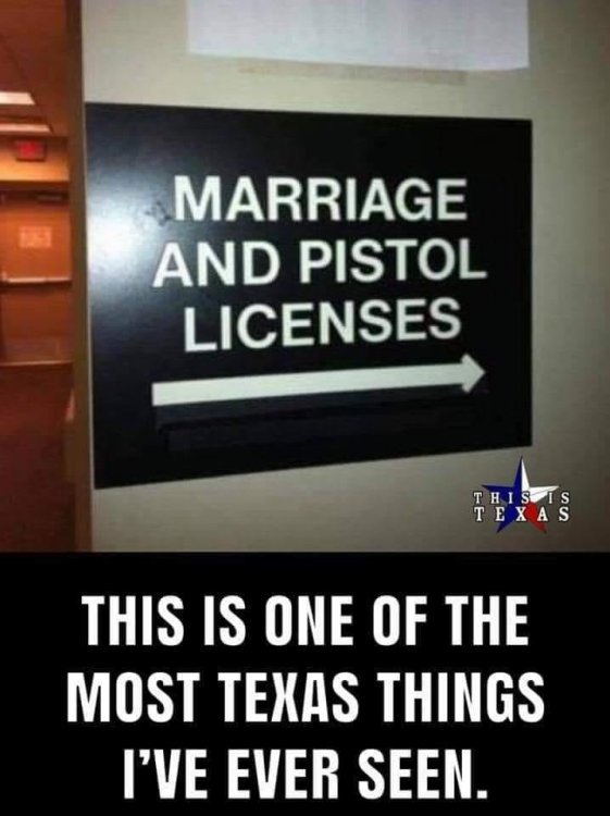 Marriage Pistol License.jpg