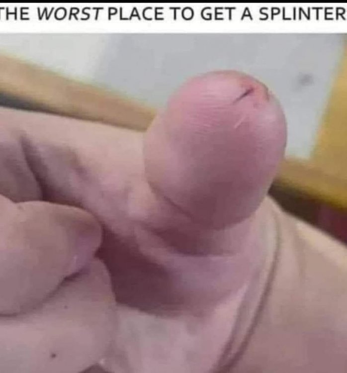 splinter.jpg