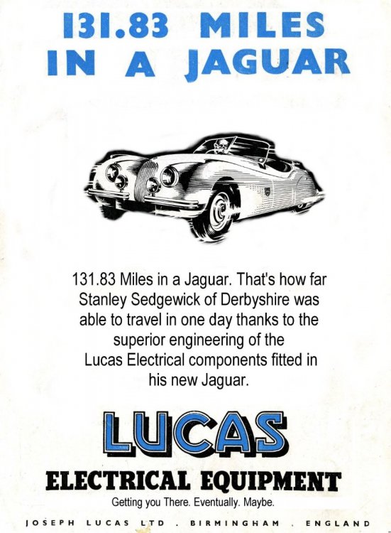 Jaguar Lucas.jpg