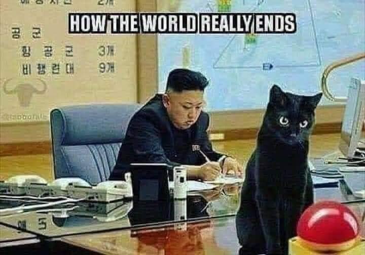 Cat world ends.jpg