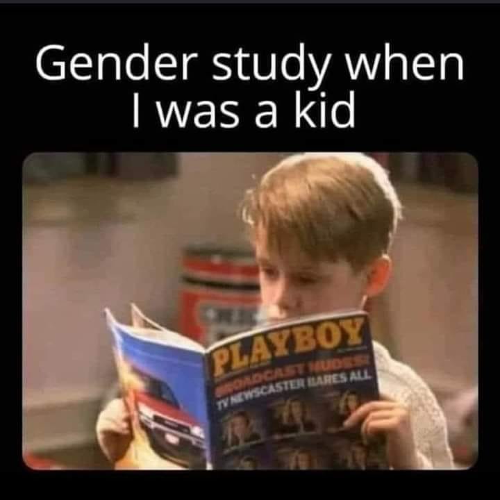 Gender study.jpg