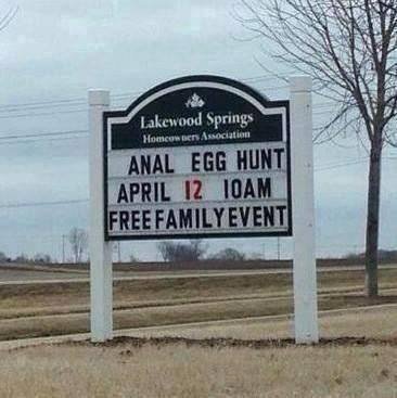 Anal egg hunt.jpg