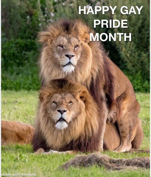 Gay Pride month.jpg
