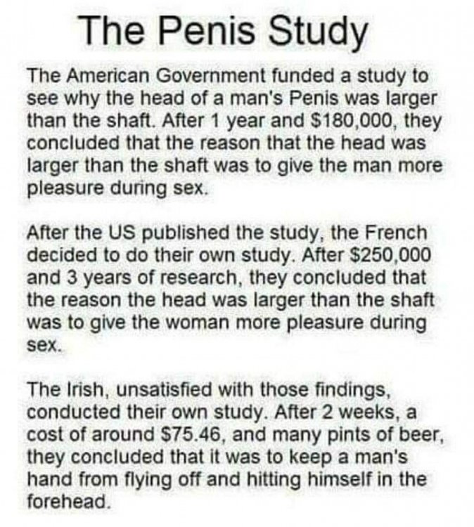 Penis study.jpg