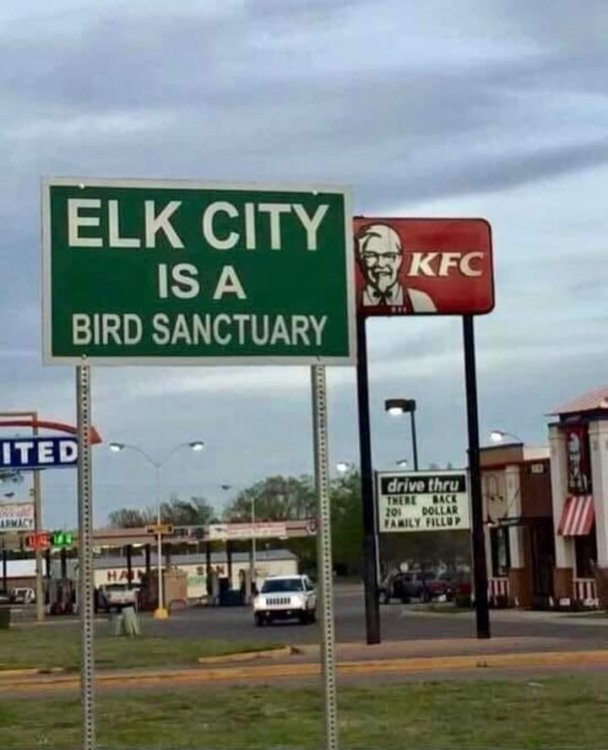 KFC Elk.jpg