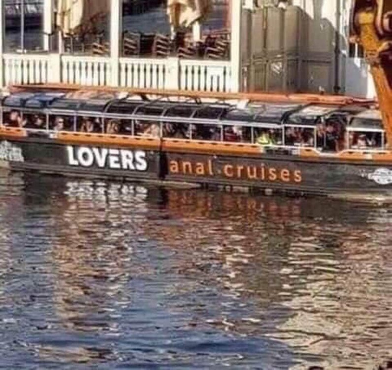 Anal cruises.jpg