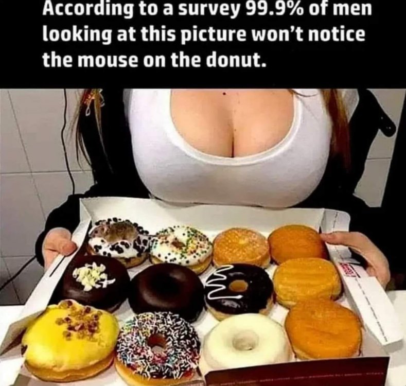 Doughnuts mouse.jpg