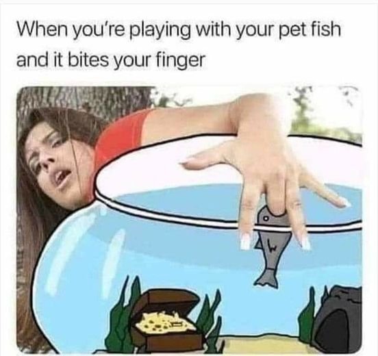 pet fish.jpg