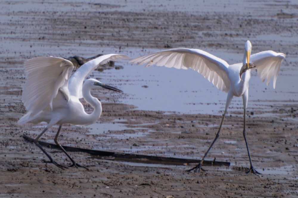 DSCF9860.jpg