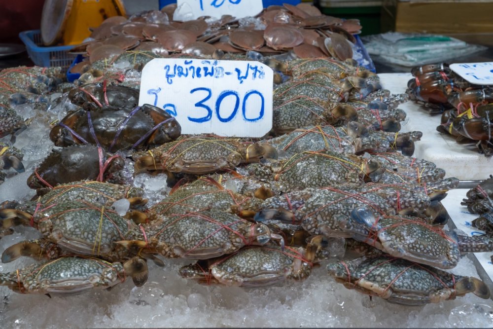 DSCF9914.jpg