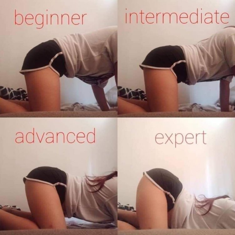 expert.jpg