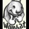 wombat51